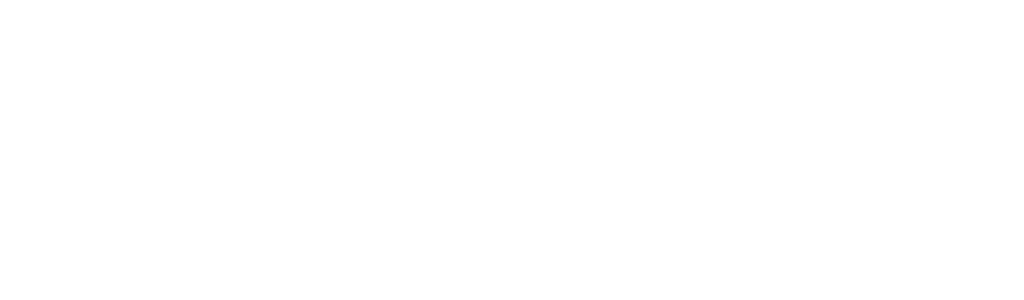 Logo ufficiale del food truck Brum Brum