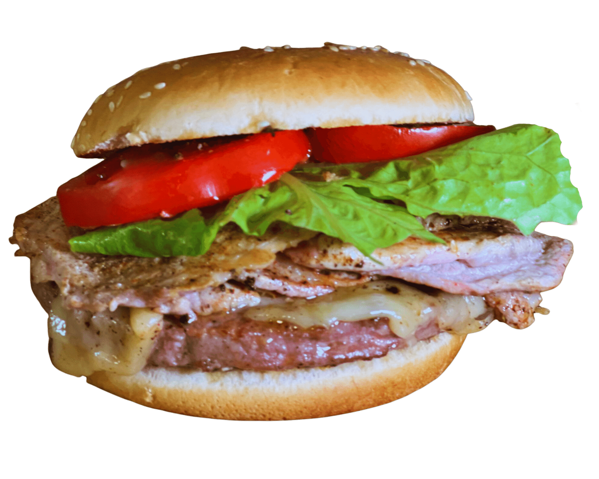 Panino Doppio Brum Brum con capocollo servito dal food truck Brum Brum