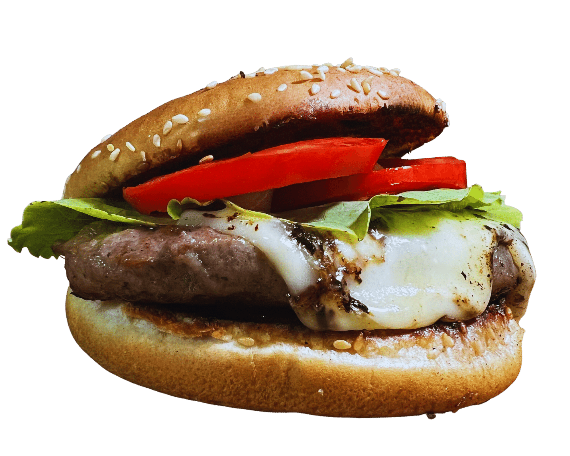Brum Brum Burger servito dal food truck Brum Brum